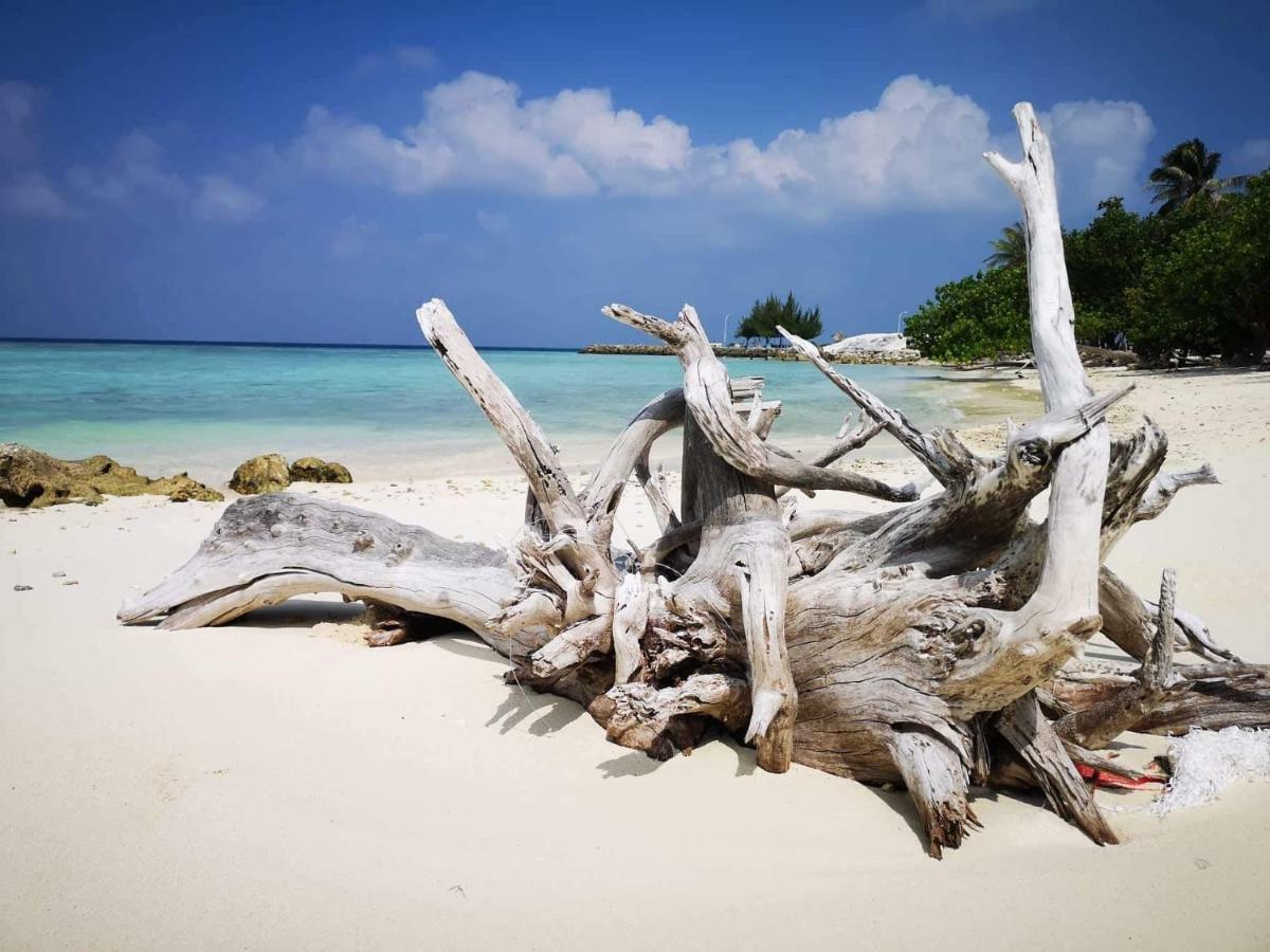 Hotel String Wave Maldives Gulhi Exterior foto